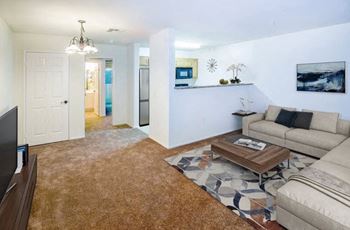 Plush carpeting